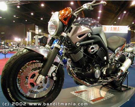 Mastino3