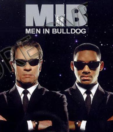 mib