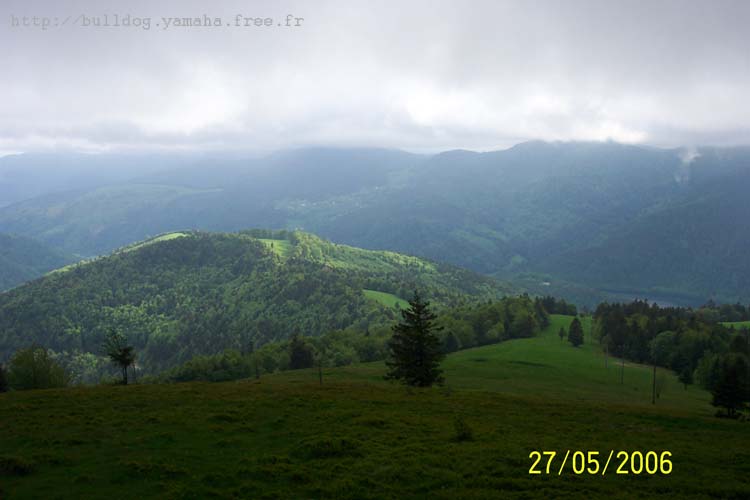 voges 206 029
